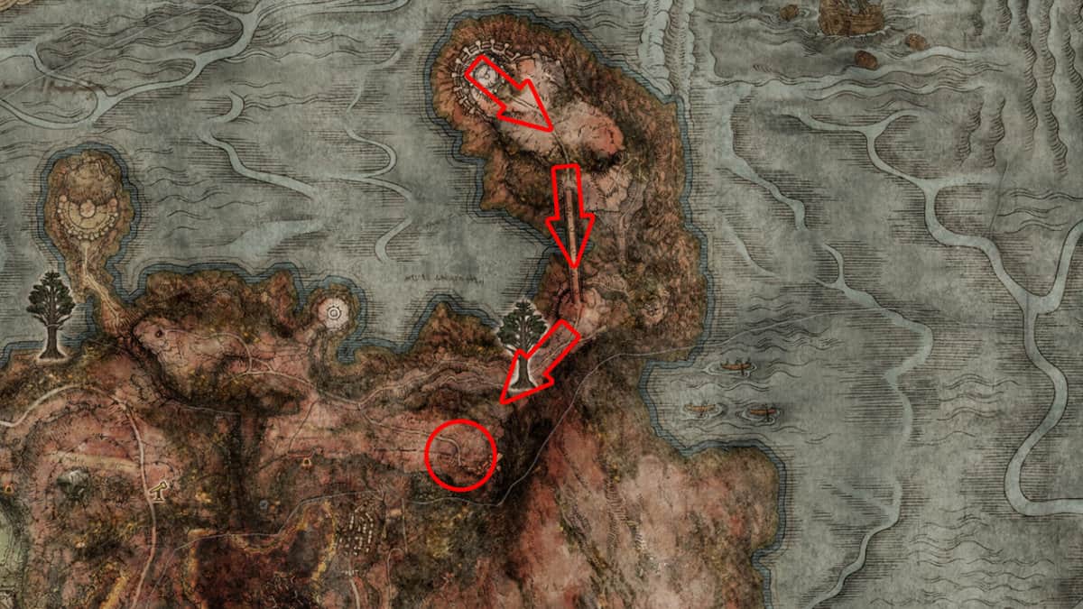 Elder Ring Elder Dragon Greyoll Emplacement de la carte