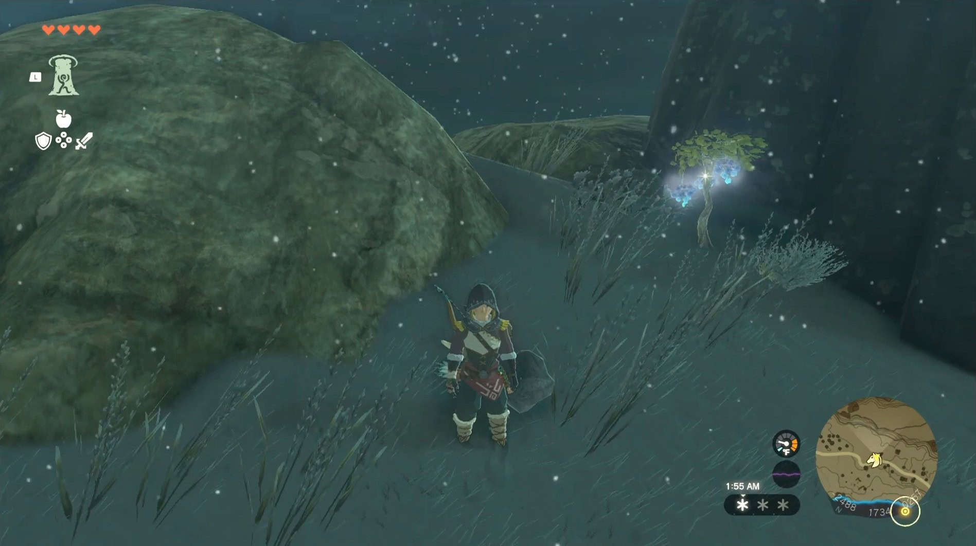 Molli le fruit de glace Fletcher